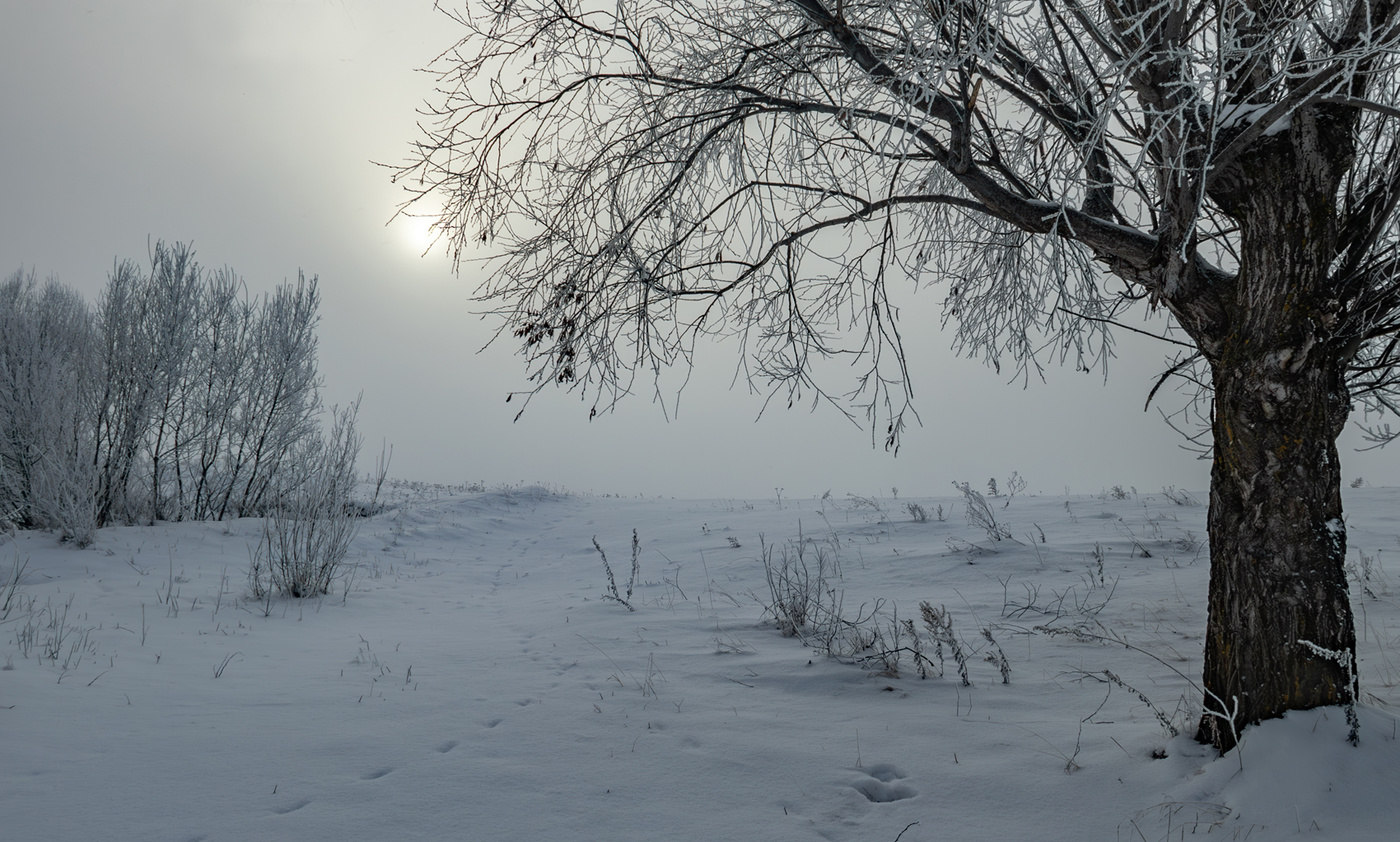 Морозное утро