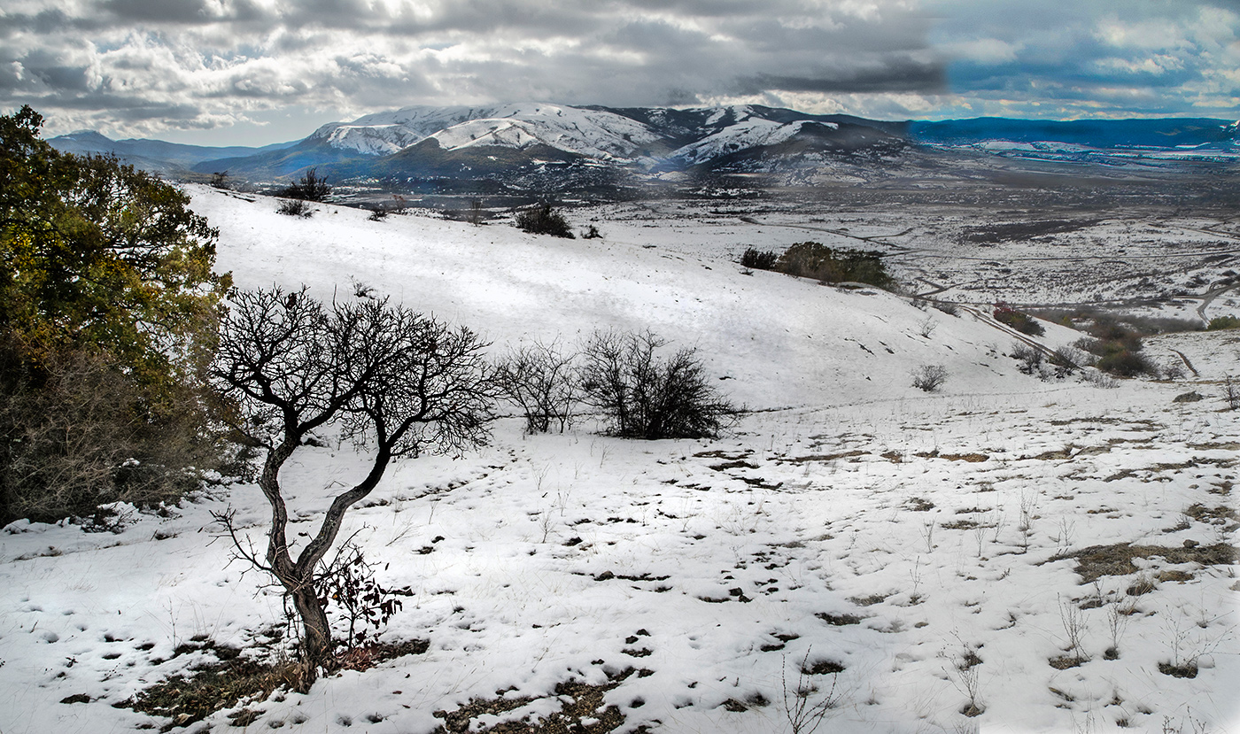 Зимняя прогулка