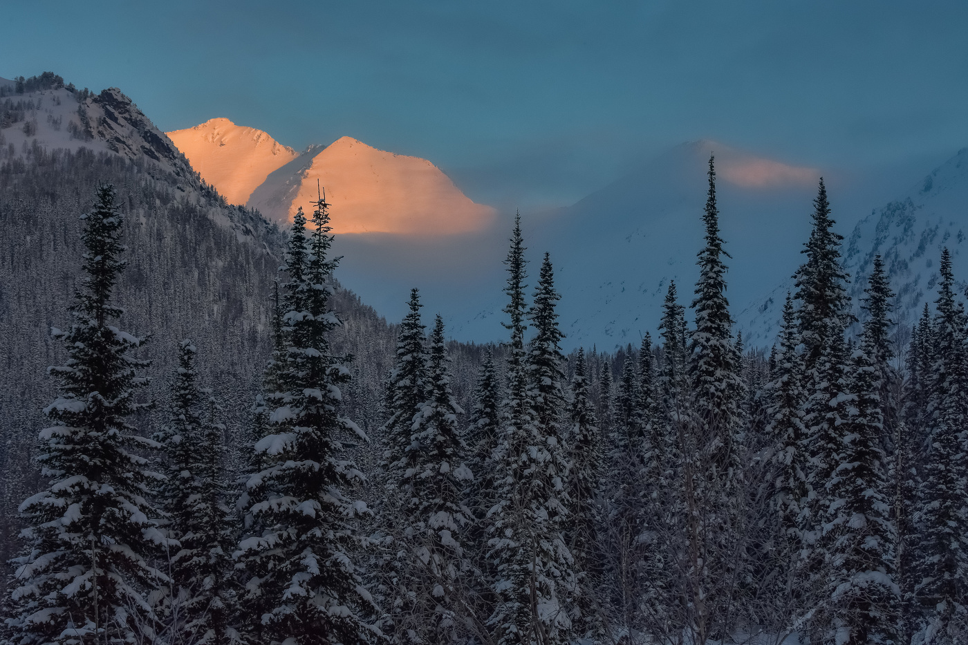 Зимнее утро на Кузнецком Алатау