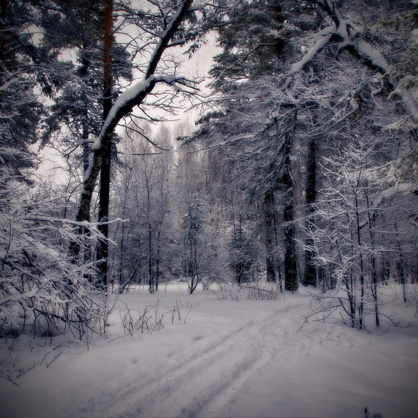 *После снегопада.**