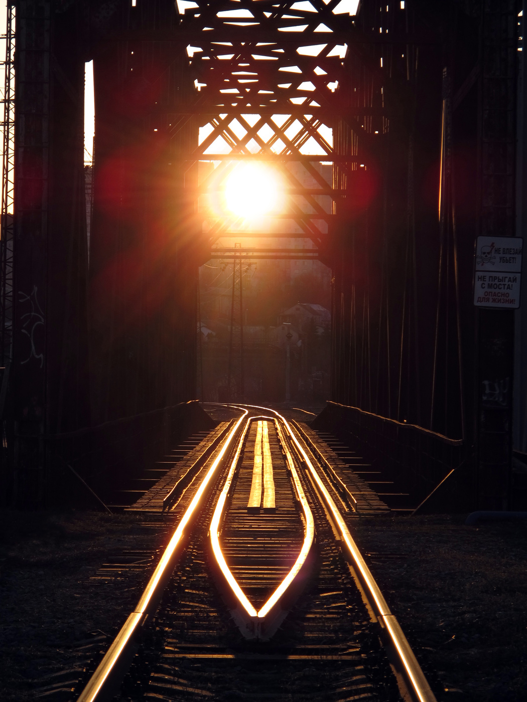 В погоне за солнцем