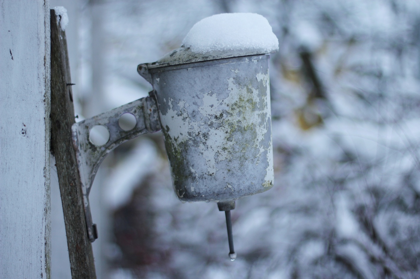 Серое на сером