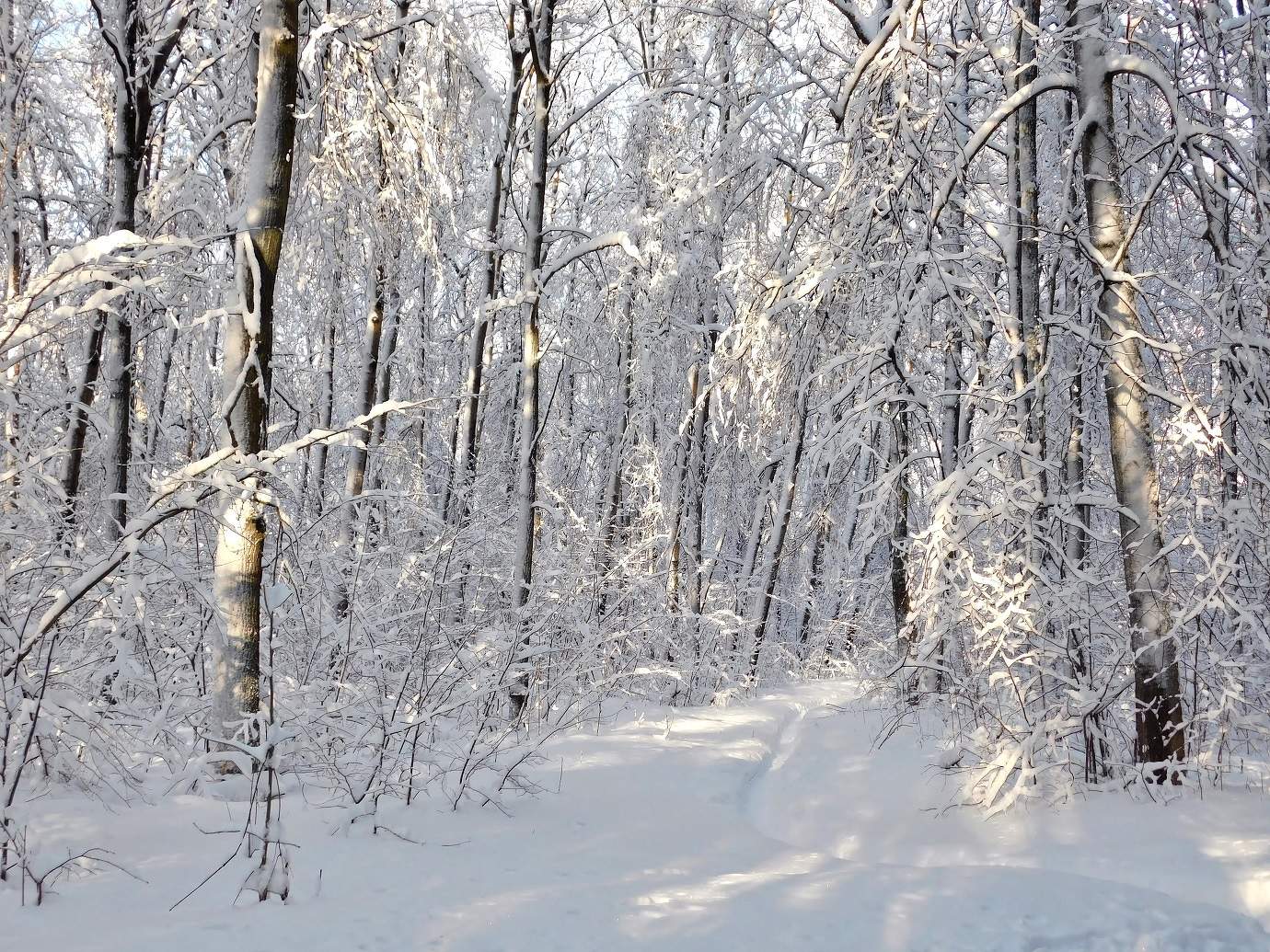 Солнечный день