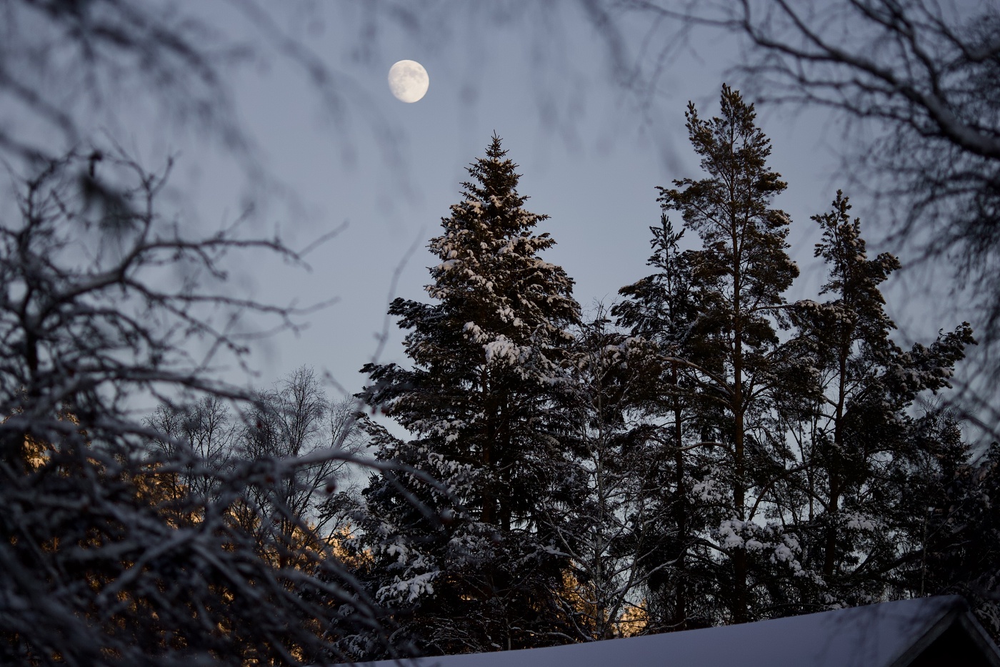 бессонный друг ночей