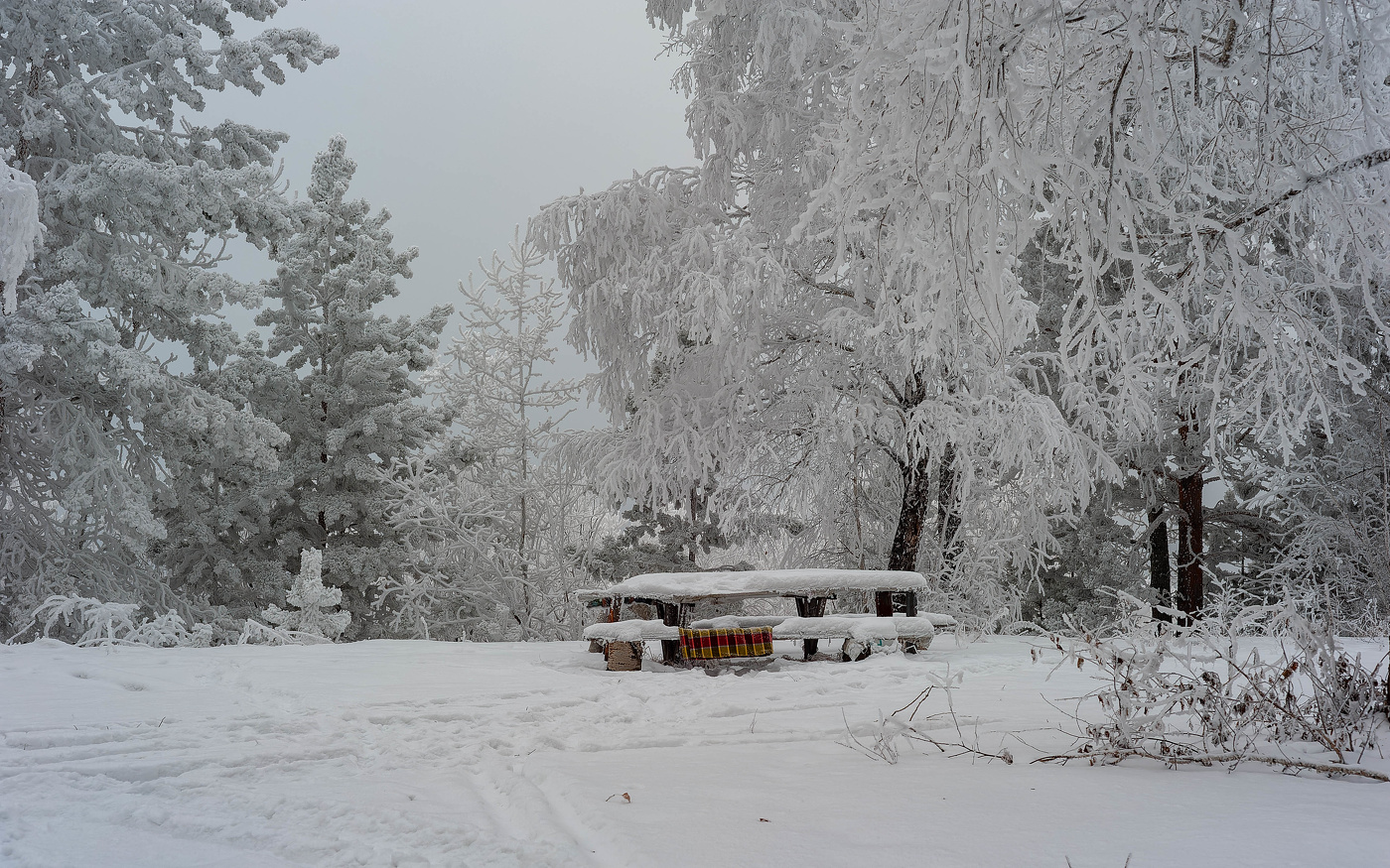 Сибирские морозы: кому-то проблемы, а фотографам - радость!