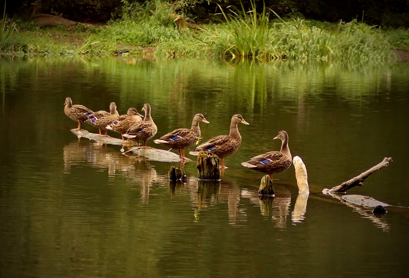 Семейное фото.
