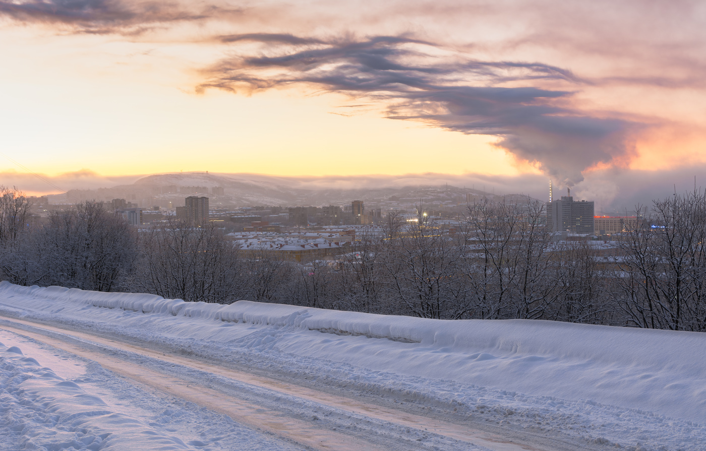 "мазутные птицы тепла"