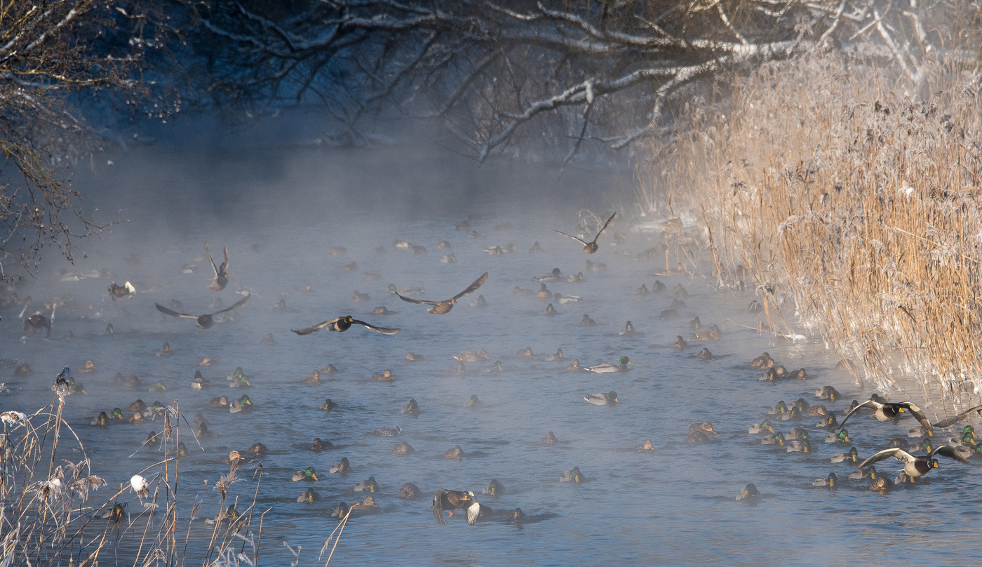 Холодный день.