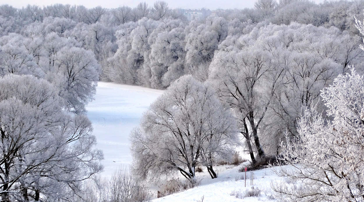Природа постаралась удивить человека