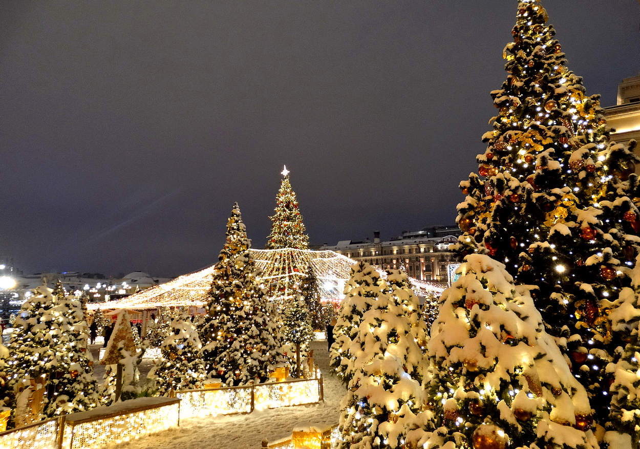 Новогодние праздничные виды