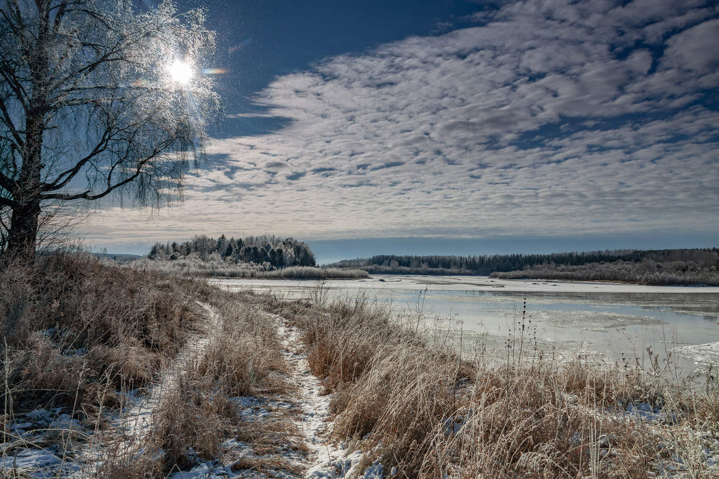 На берегу осенней Оки