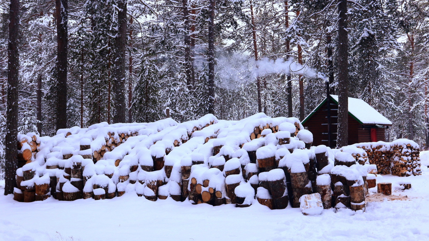 Запас на суровую зиму.