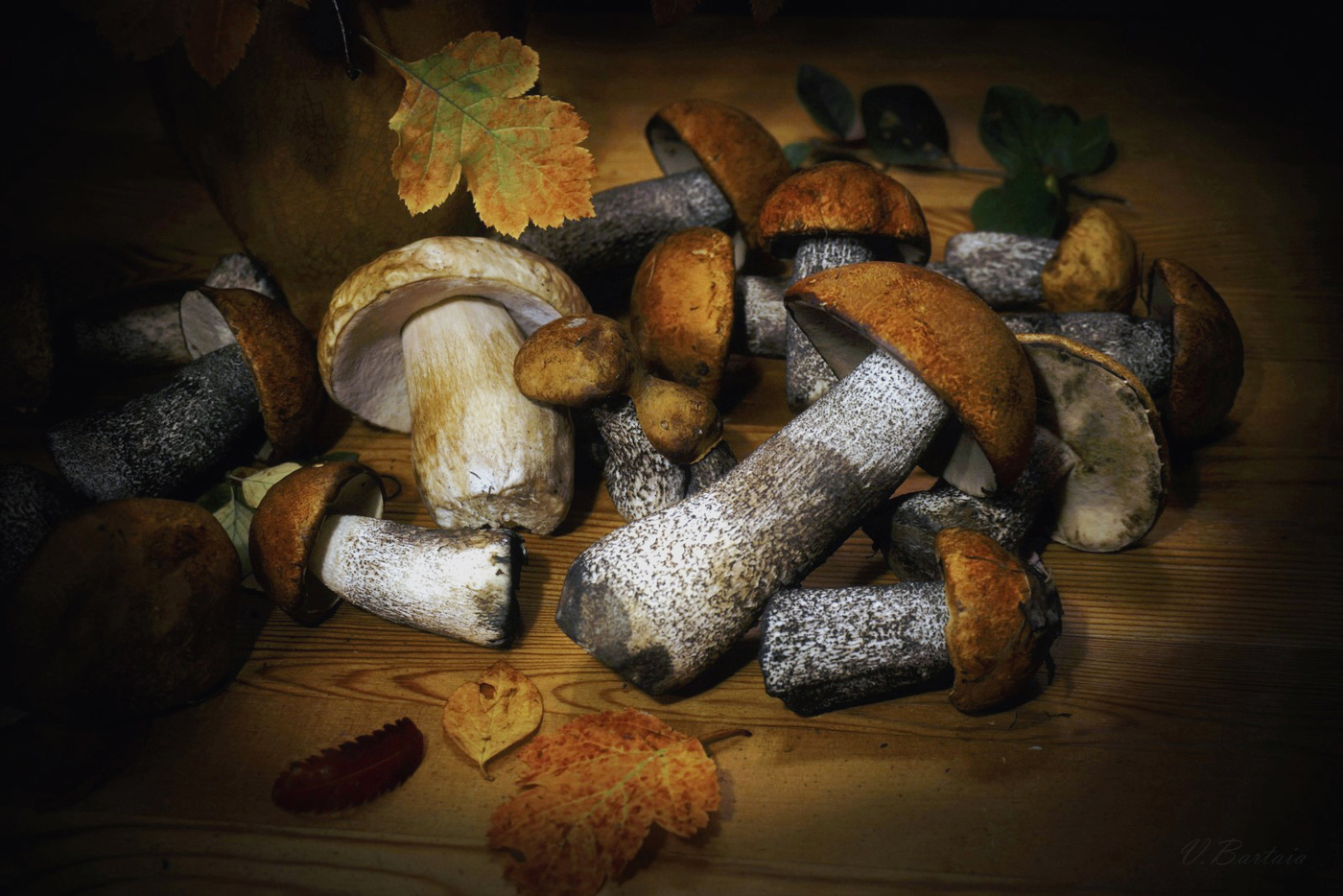 Дары лесные