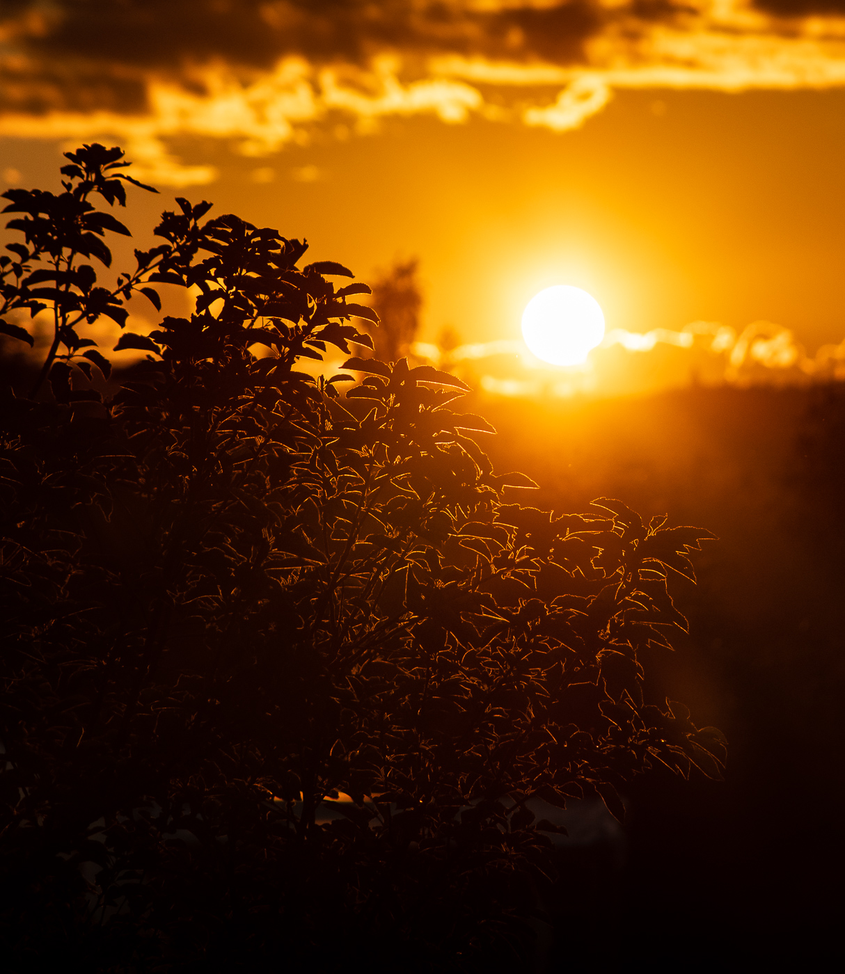 Середина лета