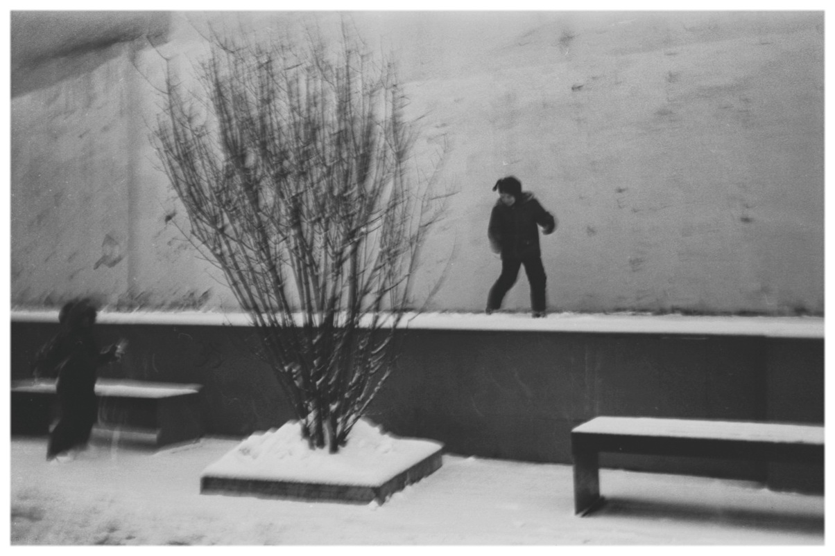 снежки в сумерках