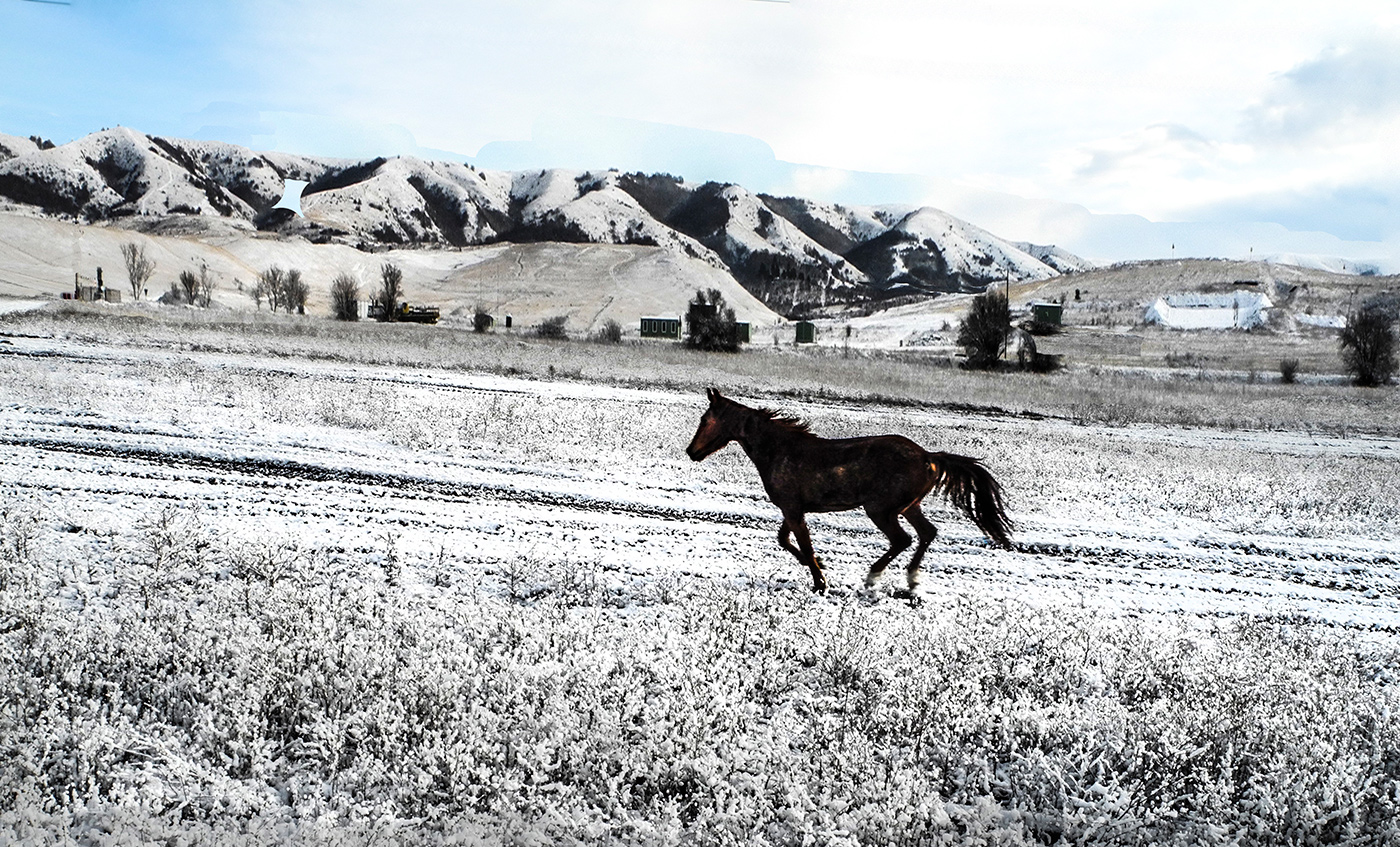 Кто быстрее.