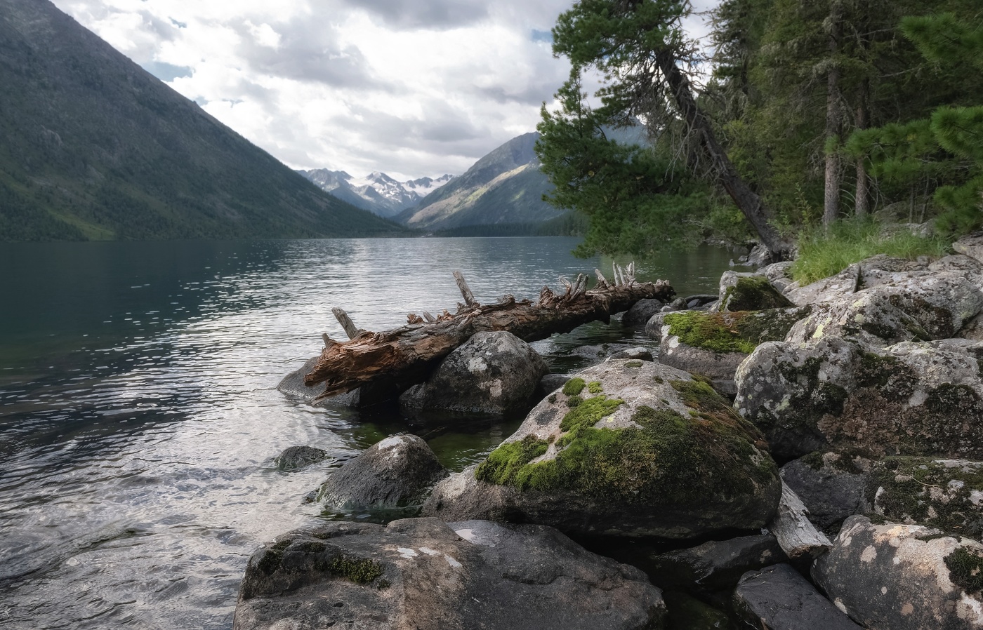 Берег вдоль озера