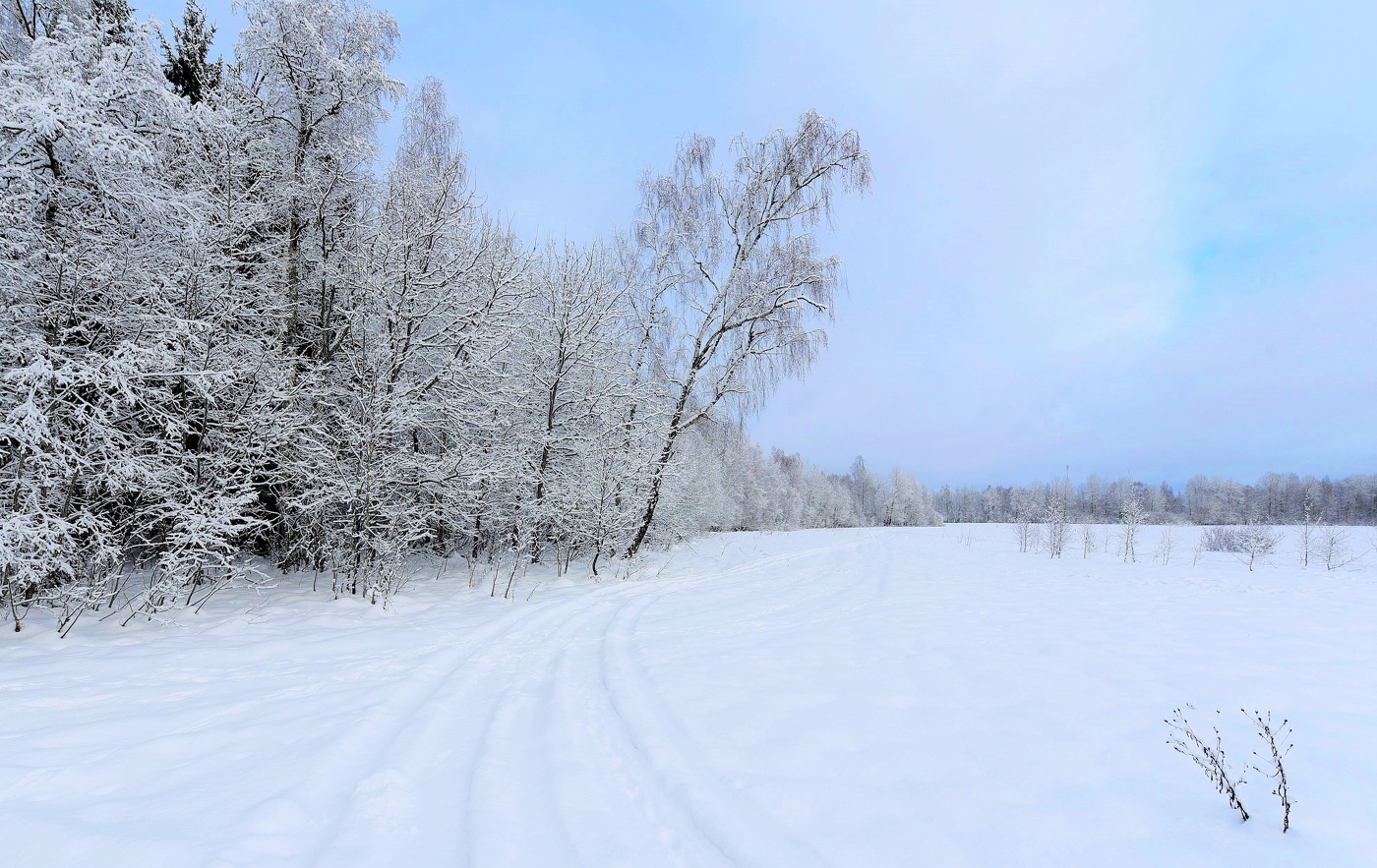 Сиреневый день ...