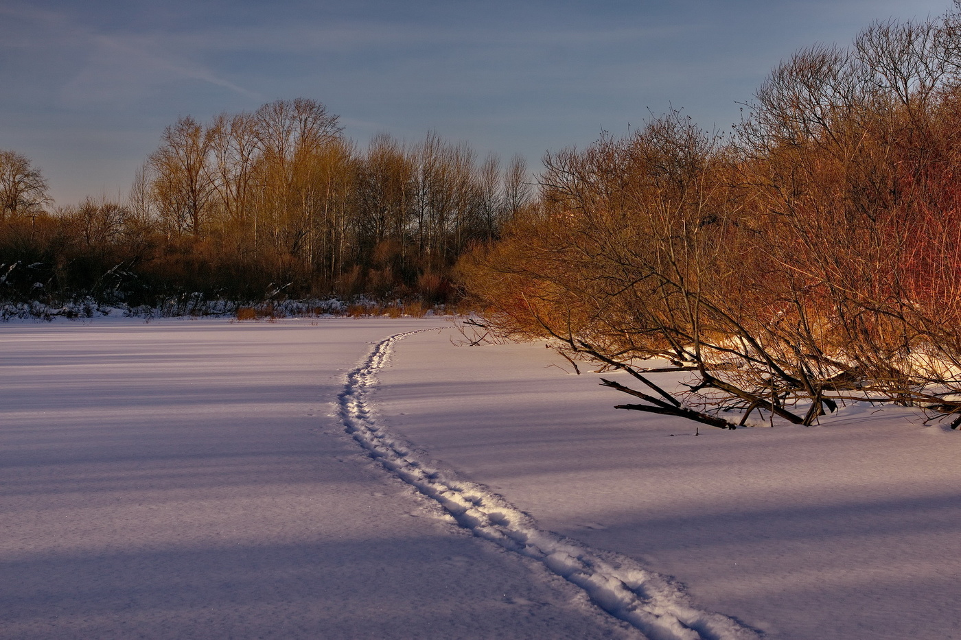 *Январским днём.**