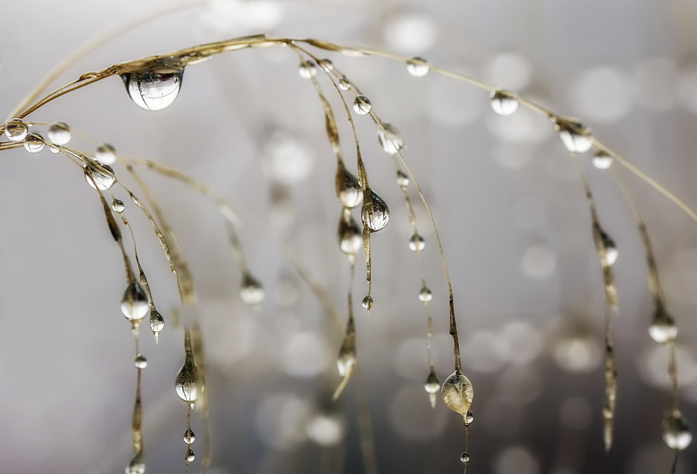 Слезки-капельки