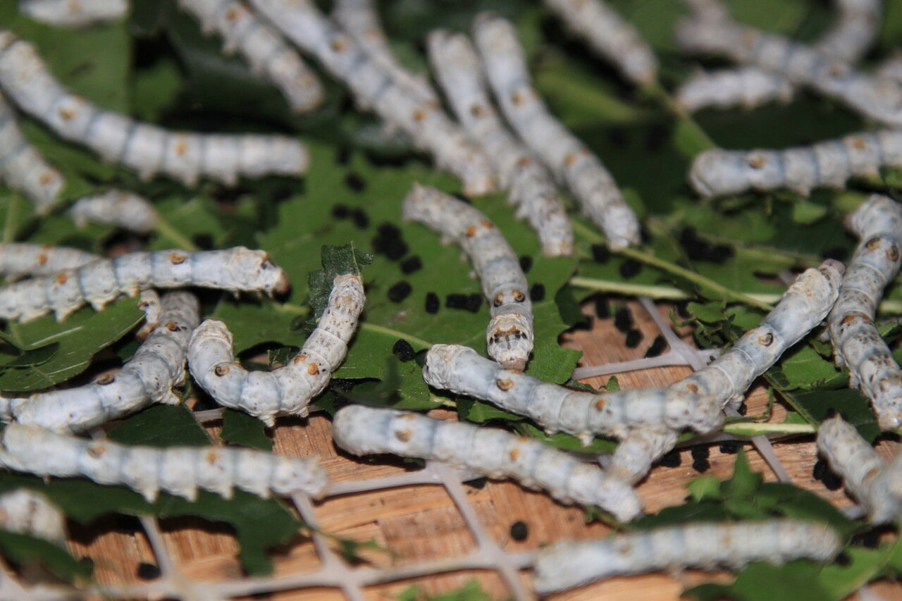 Так делают шелковые ткани