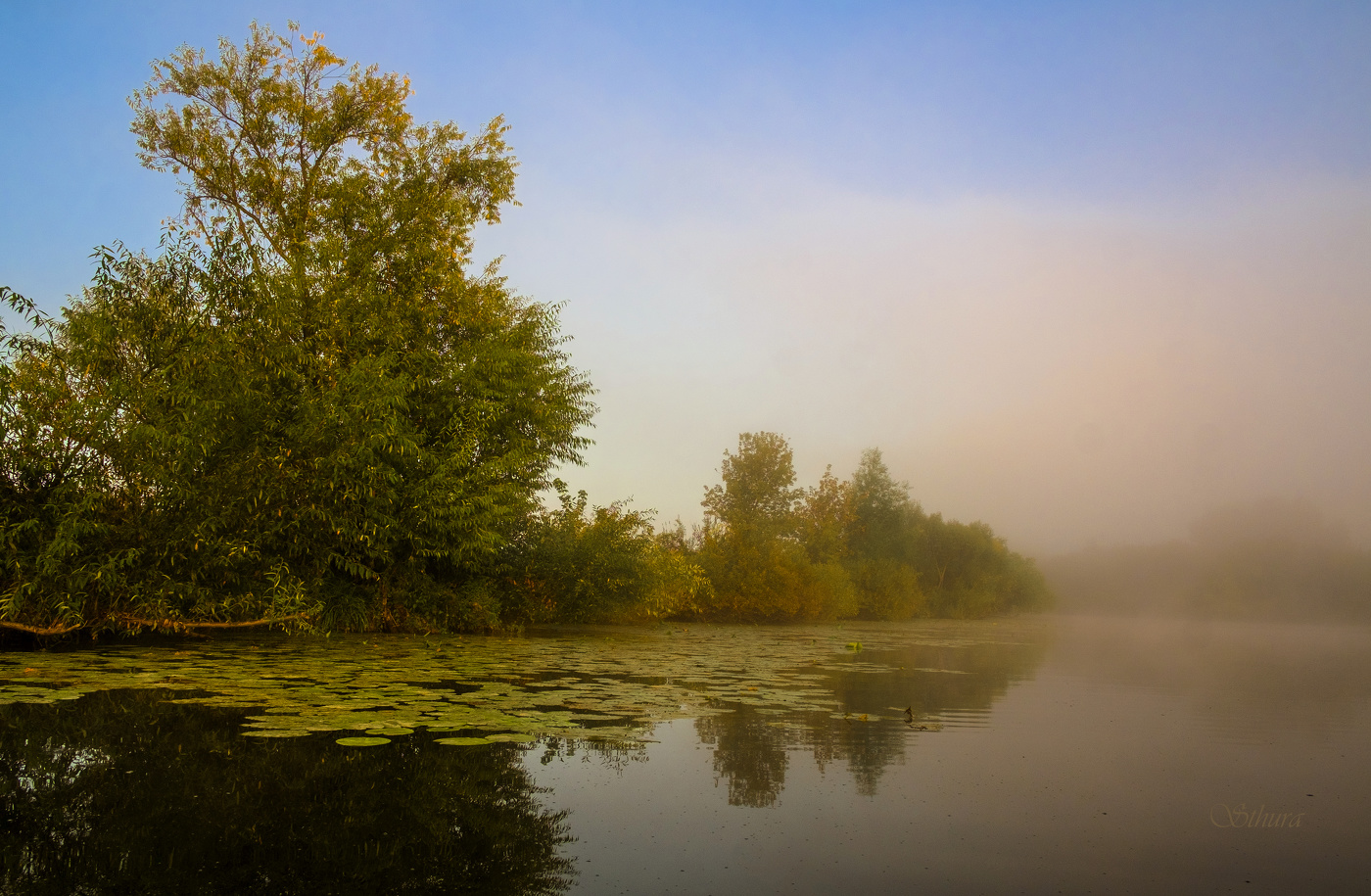 Студёное утром.