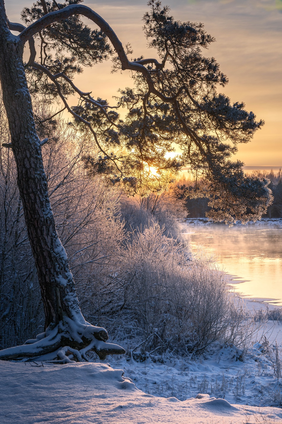Морозное утро на реке Вилия