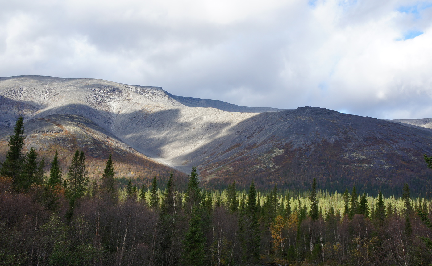 Ветер рисует