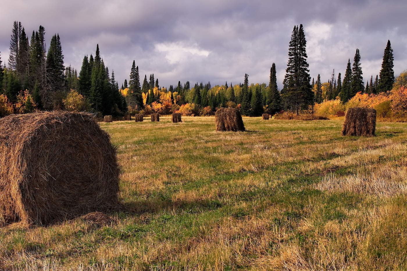 *Осенним днём.**