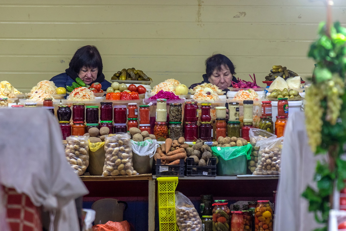 Королевы и капуста.