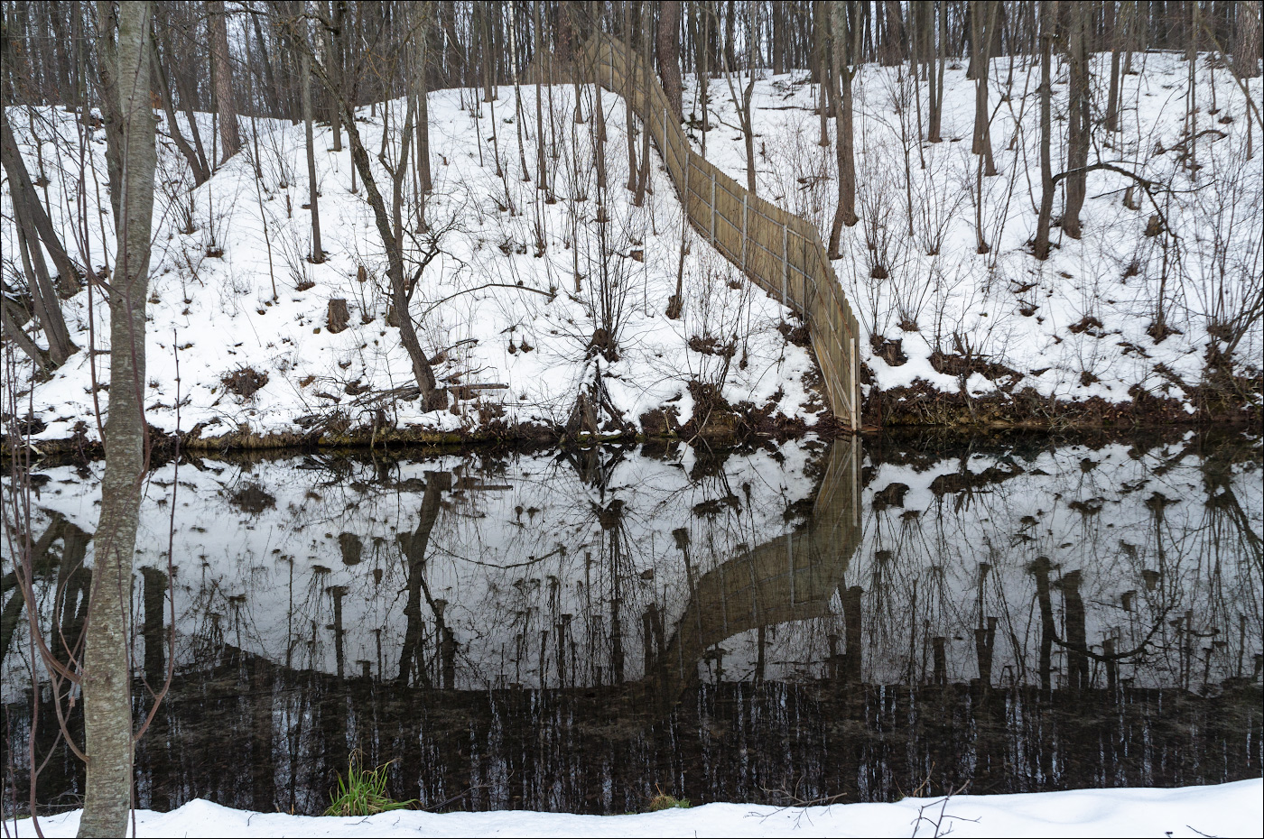 ощущение зеленого