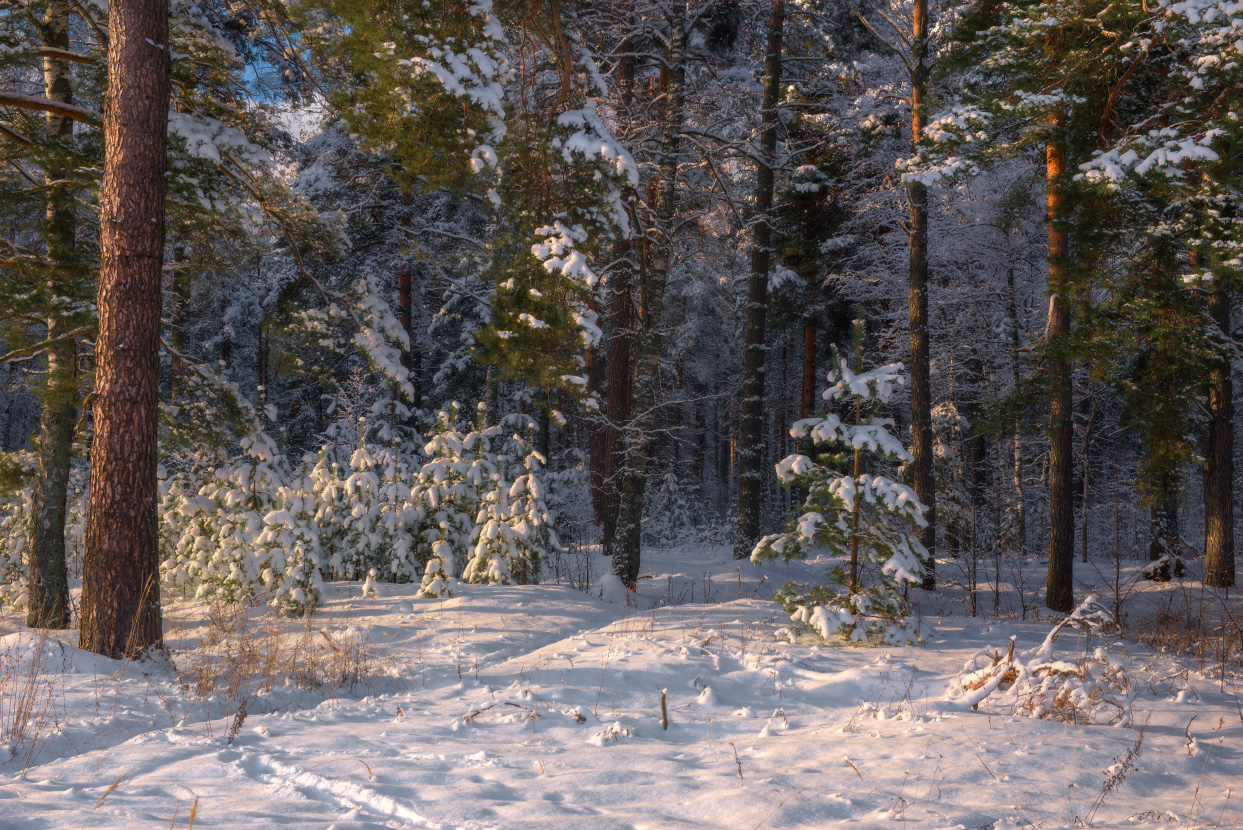 Здесь на неведанных тропинках Еще не мало дивных мест