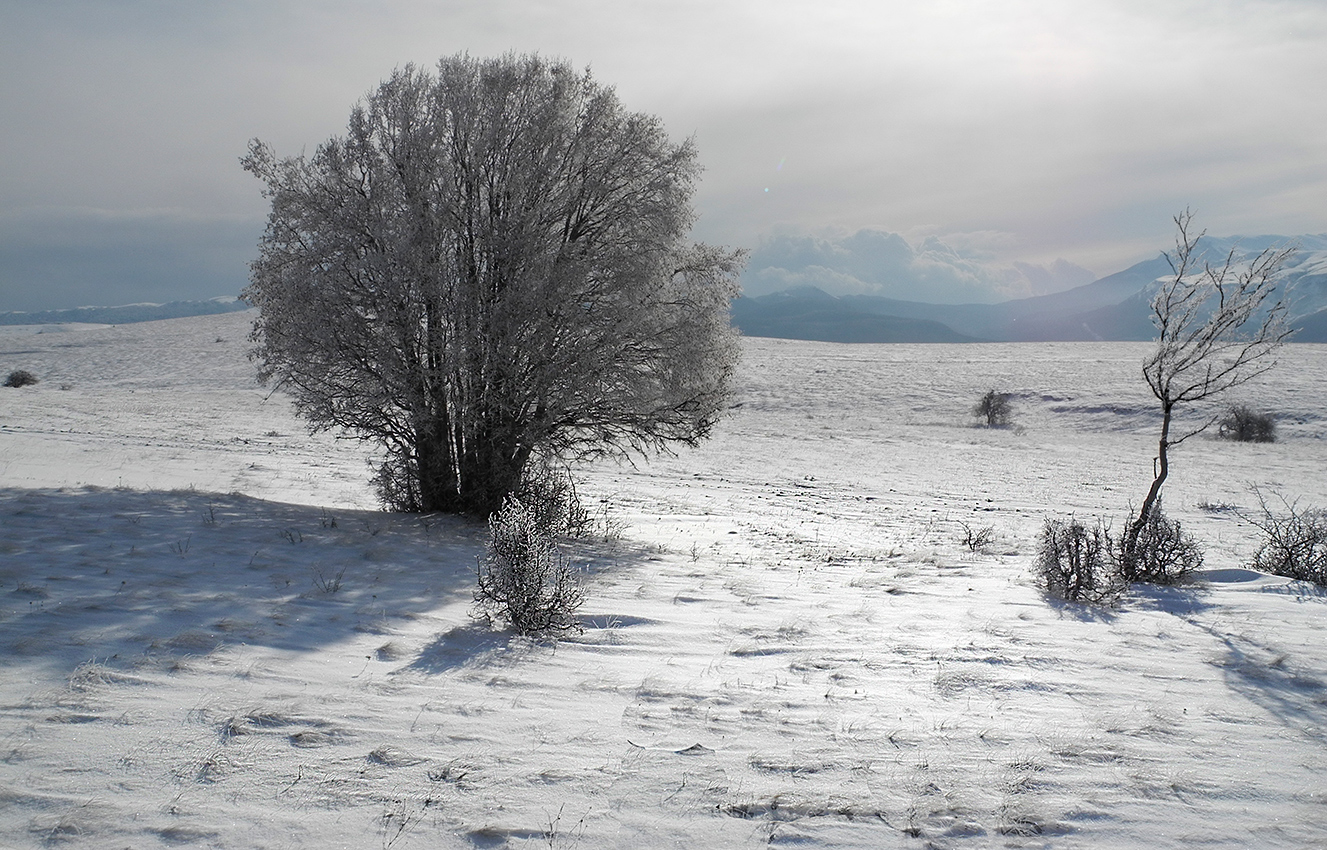 Солнечные тени