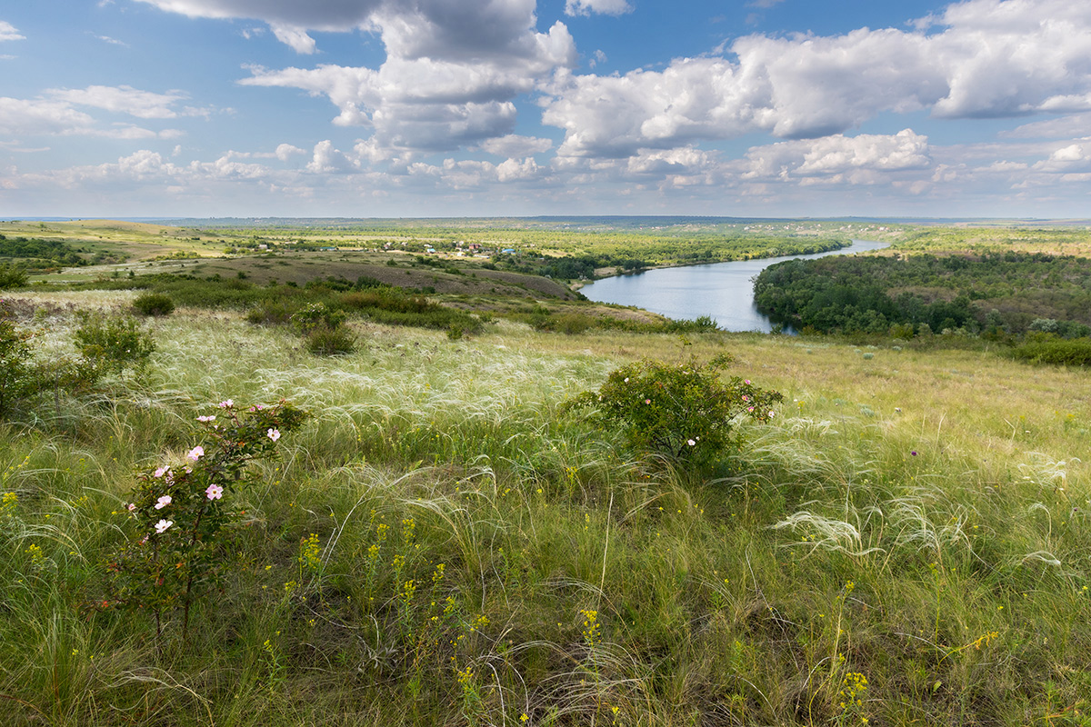 Вид на хутор Хоботок