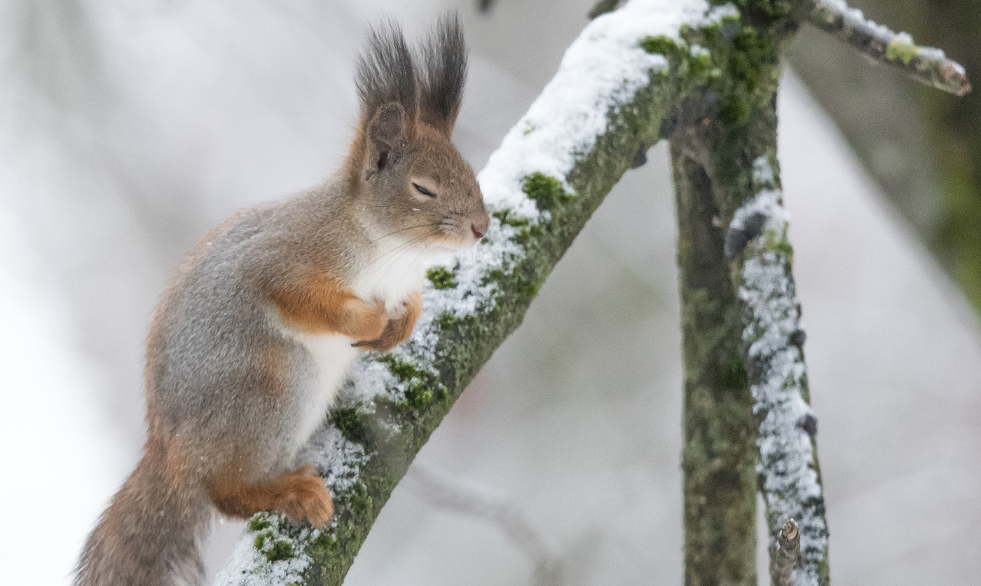 Утомилась...