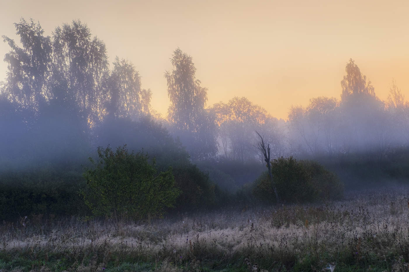 Полосатый рассвет