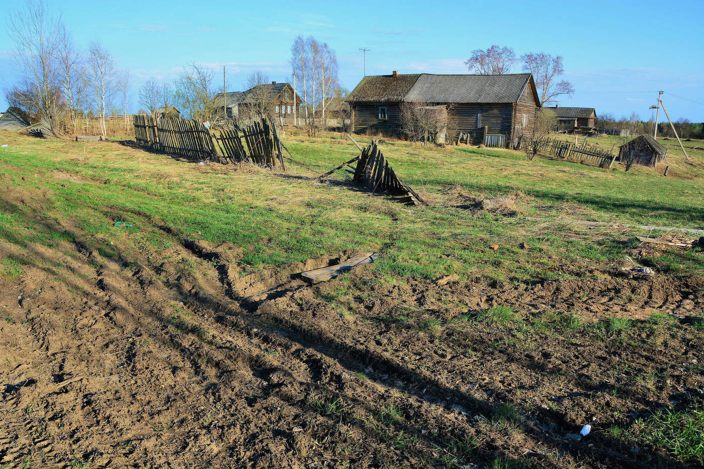 Весна. Только - только сошел снег ...