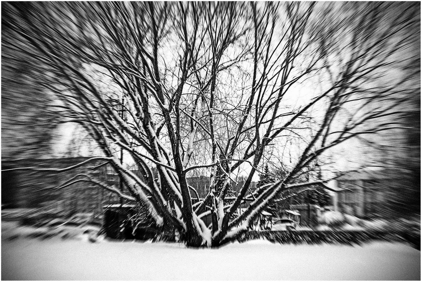 Январь. После снегопада