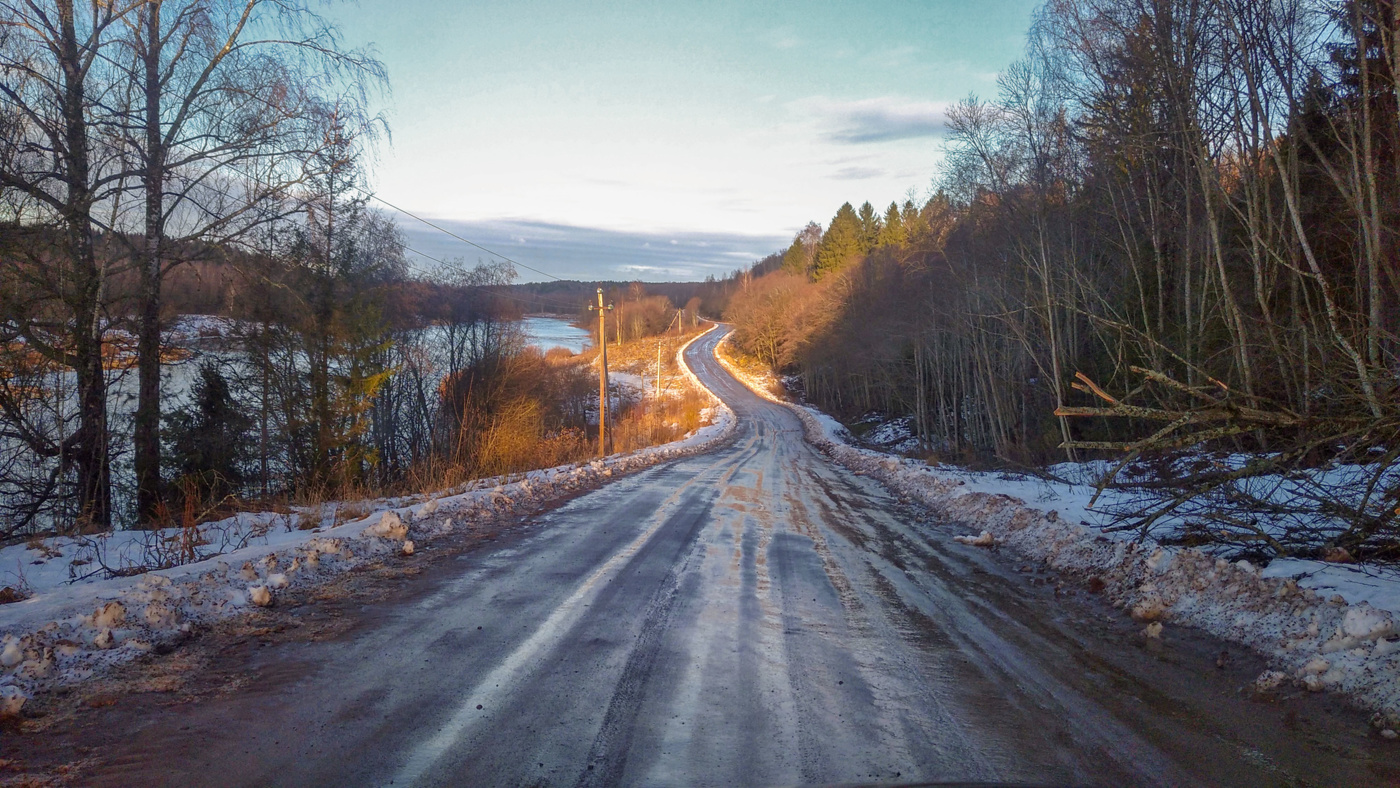 Жизнь вокруг