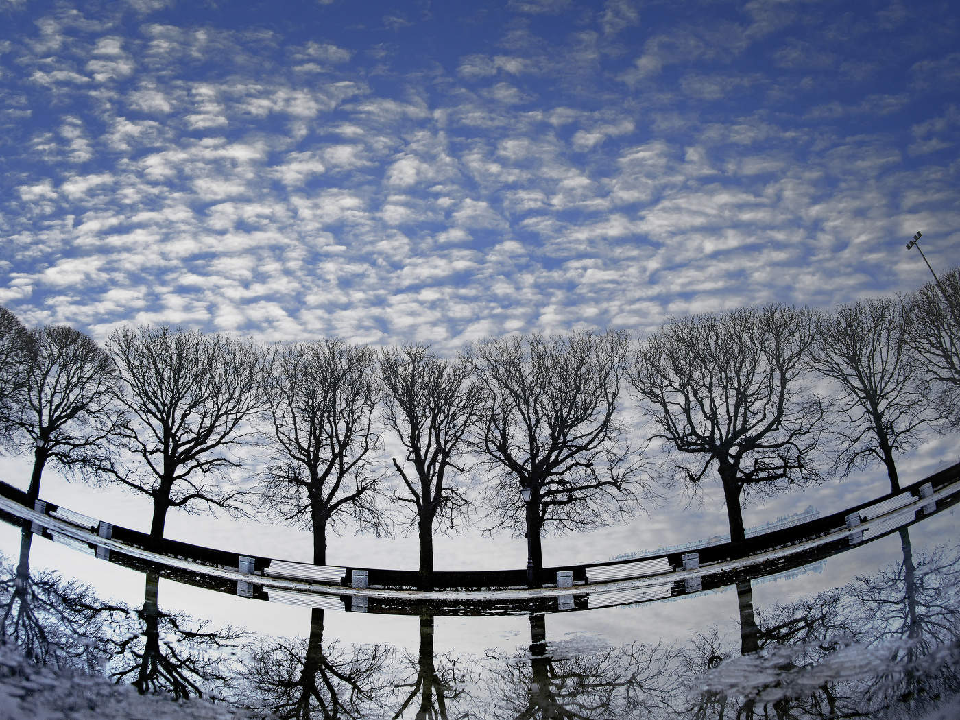 Небо и лужи