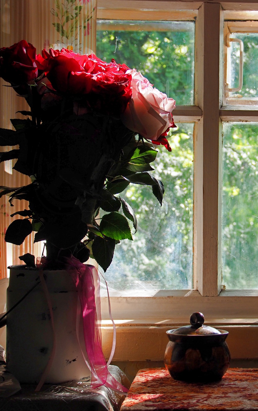 В утреннем свете