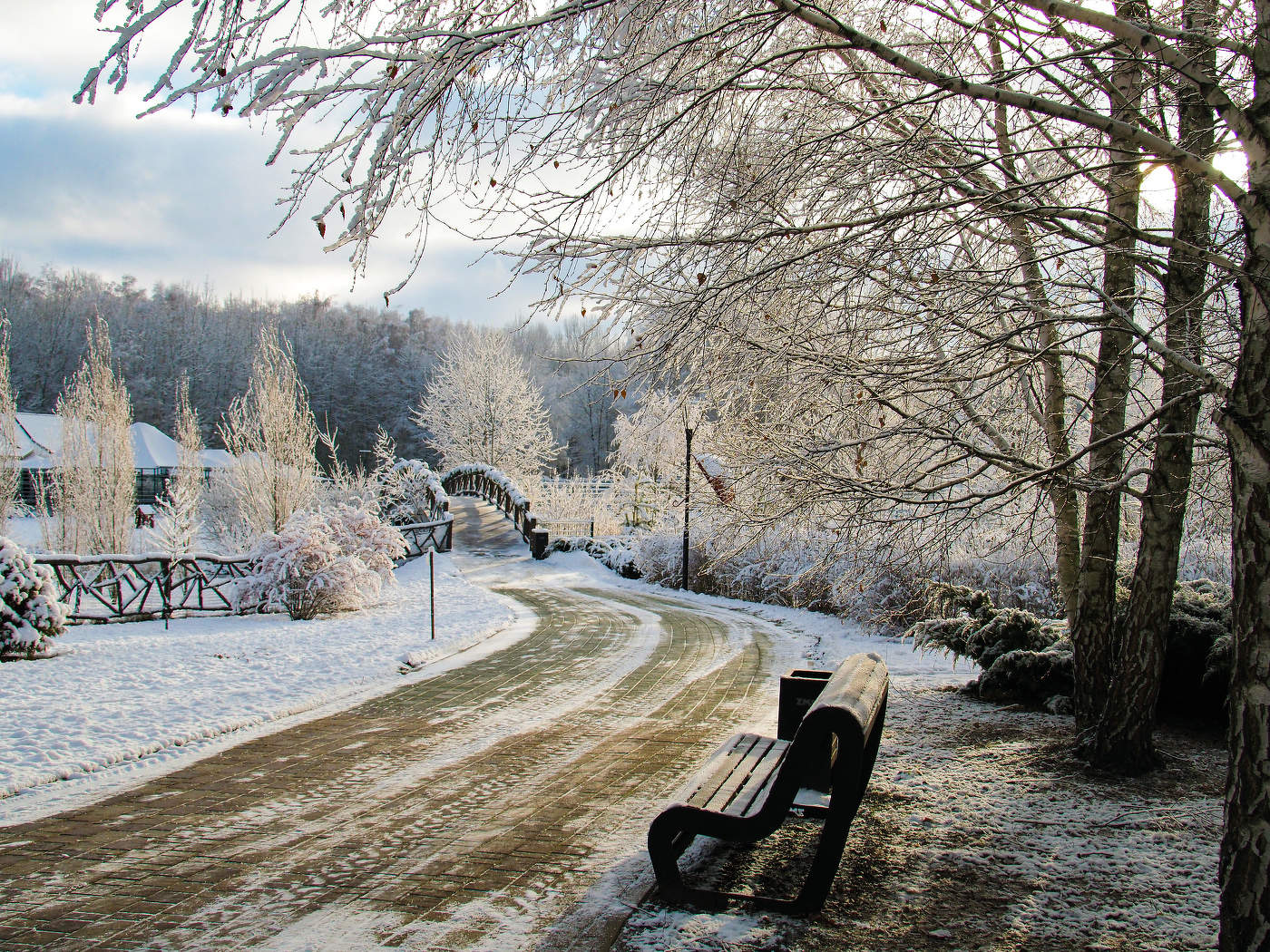 Заснеженный парк