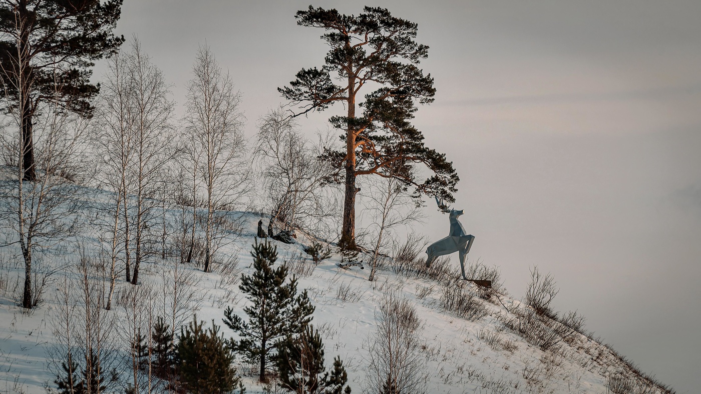 АРТ-ОБЪЕКТ ОЛЕНЬ.