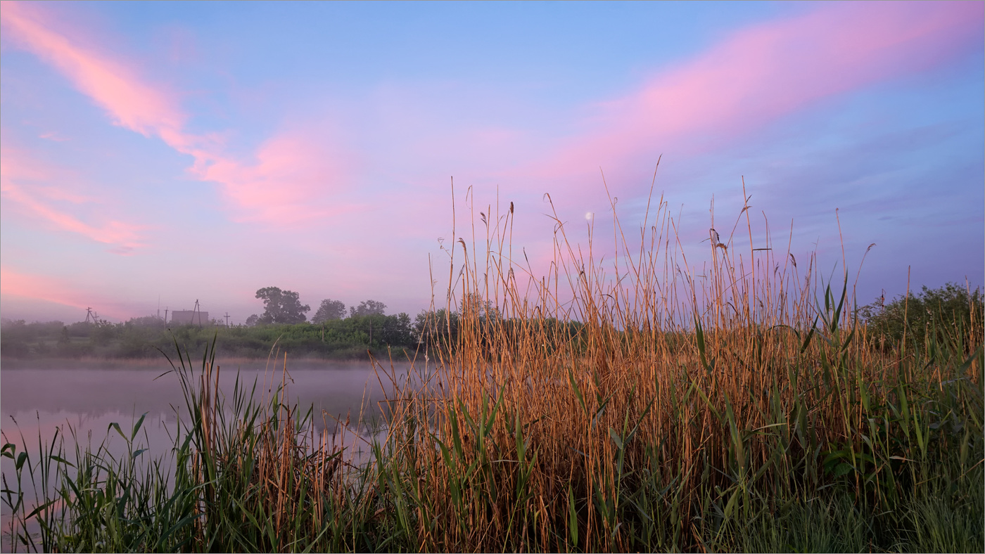В тишине раннего утра...