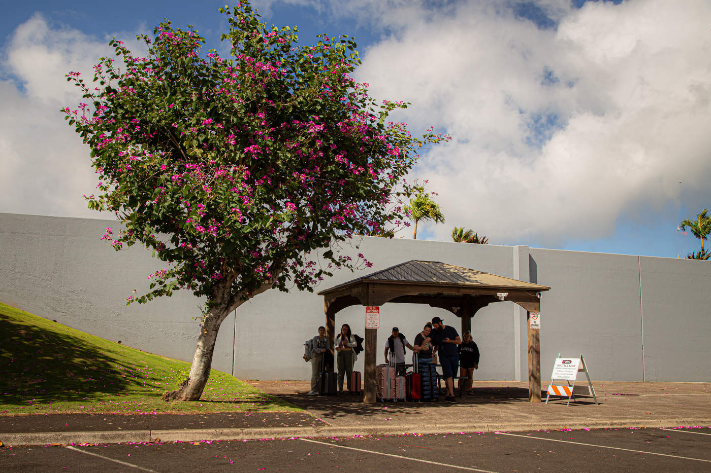 Ждут автобуса