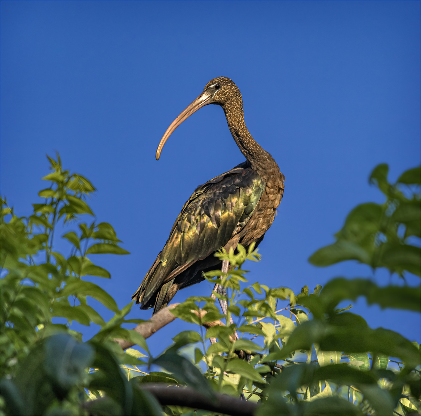 Устроилась на ночлег