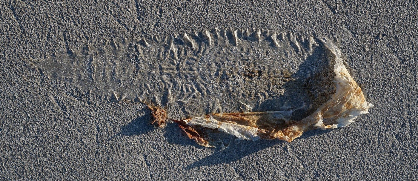 Прильнула и осталась