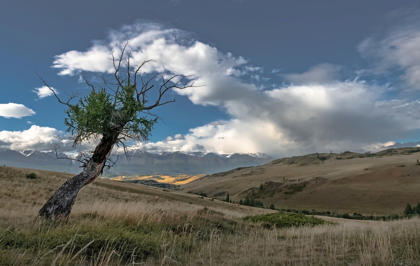 Разгоняя тучи