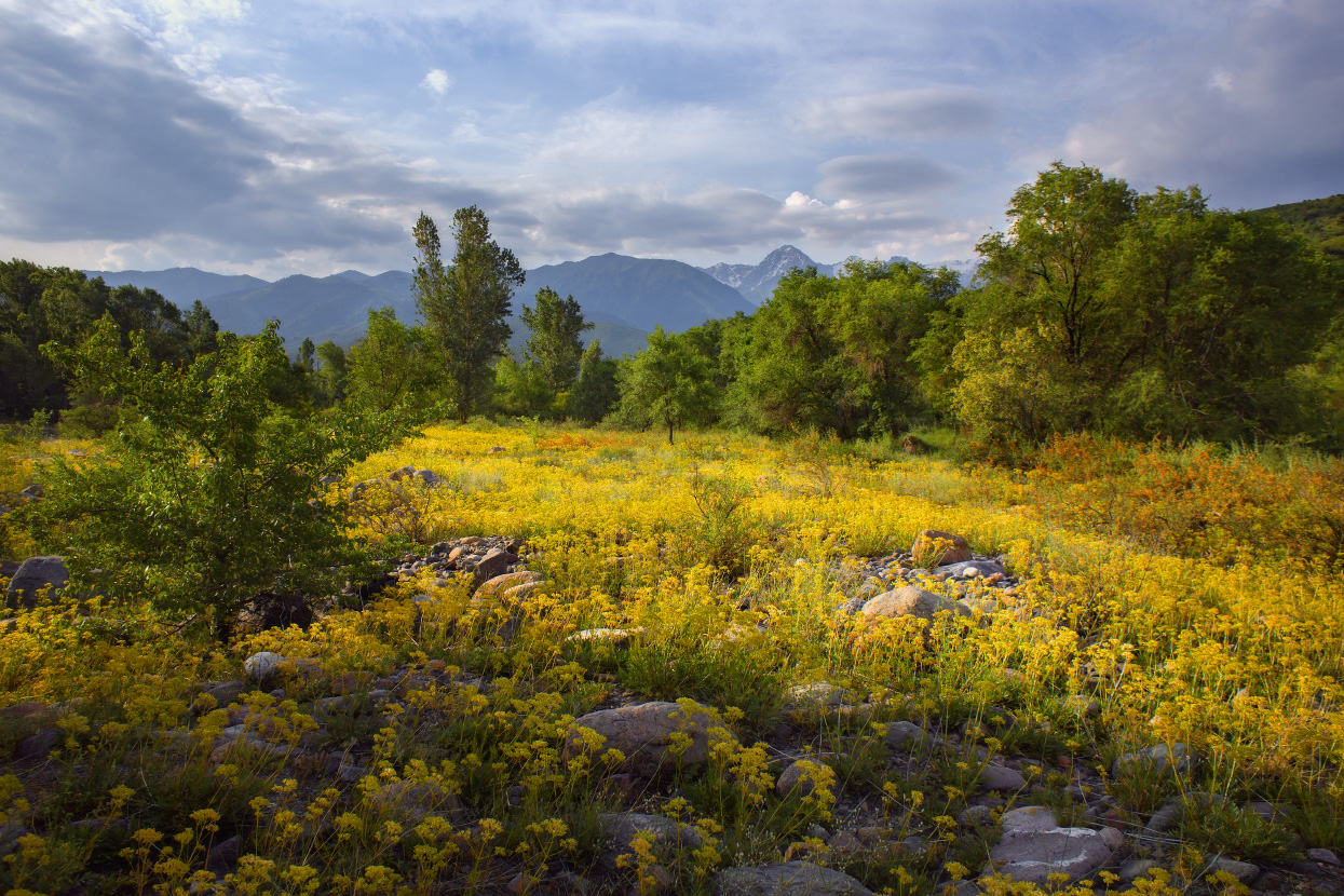 В долине речки Иссык