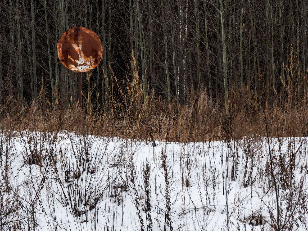 лунная ночь